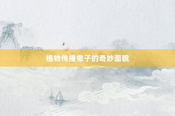 植物传播撒子的奇妙面貌