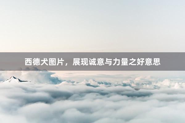 西德犬图片，展现诚意与力量之好意思